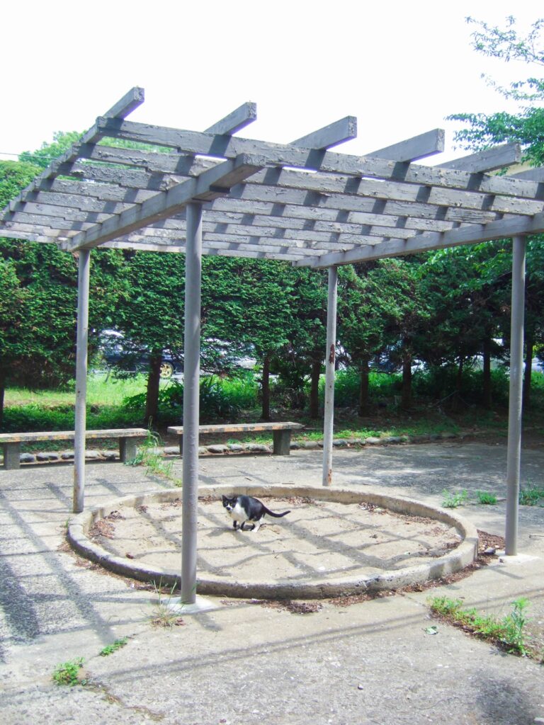 団地の公園